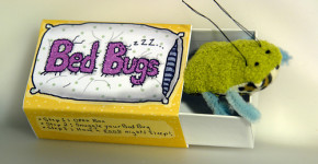 bed bugs in hotels