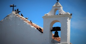 The Top Things To Do In Tenerife