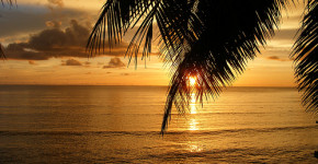 Fiji Beach www.travelscamming.com